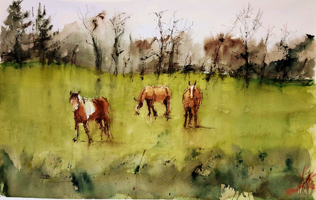 Caballos gallegos Watercolour Paper Landscaping