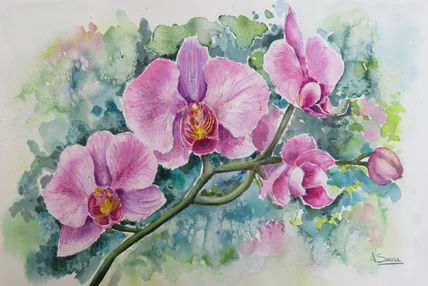 Orquideas