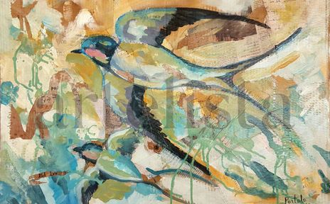 Golondrina