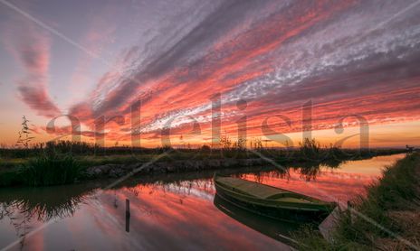 Albufera