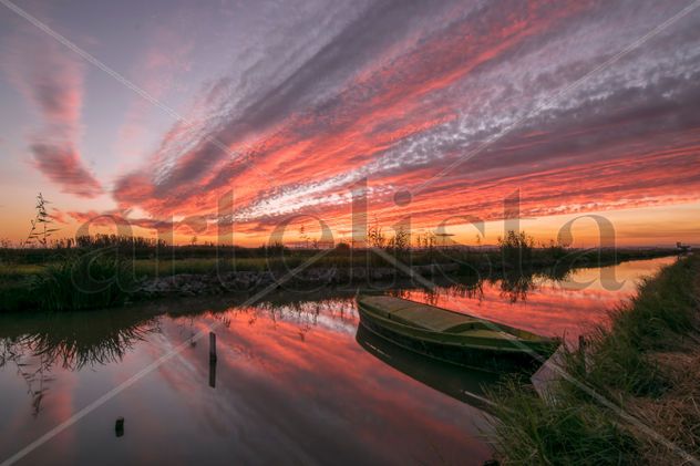 Atardecer en la Albufera