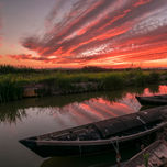 Albufera thumbnail 1