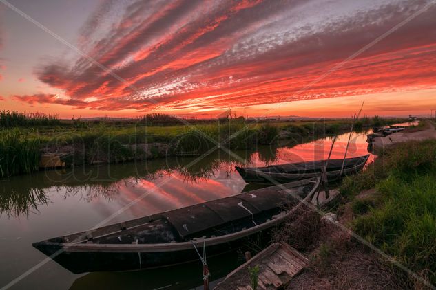 Albufera Other Themes Color (Manual)