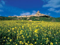 Mdina