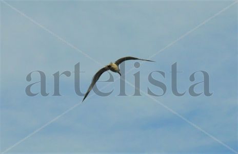 Libertad