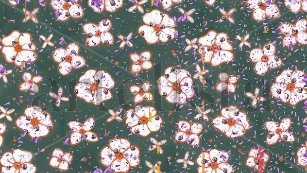 Flores en sombra