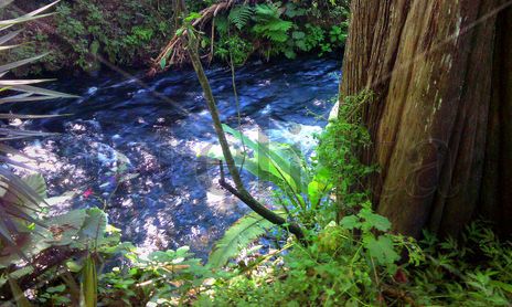 El Rio