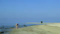 girl and seagulls