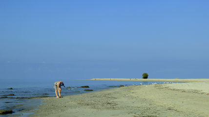Girl and seagulls