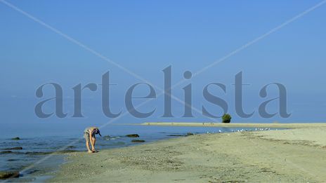Girl and seagulls