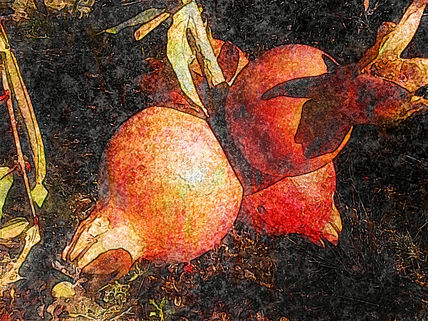 Granadas
