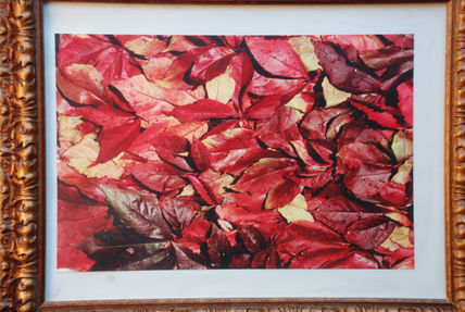 Hojas de otoño