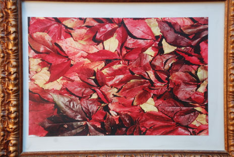 Hojas de otoño