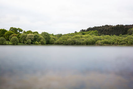 The lake