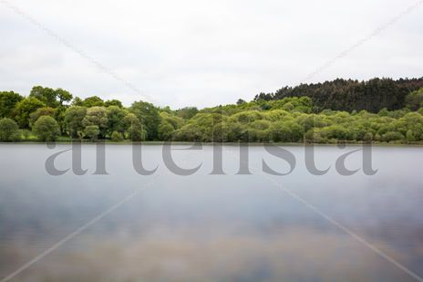 The lake