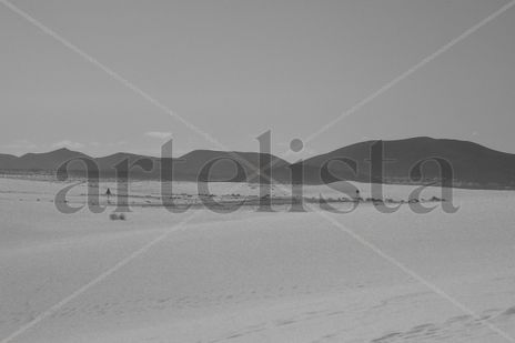 Fuerteventura II