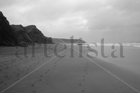 Fuerteventura V