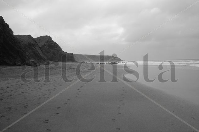 Fuerteventura V