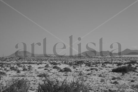 Fuerteventura VII