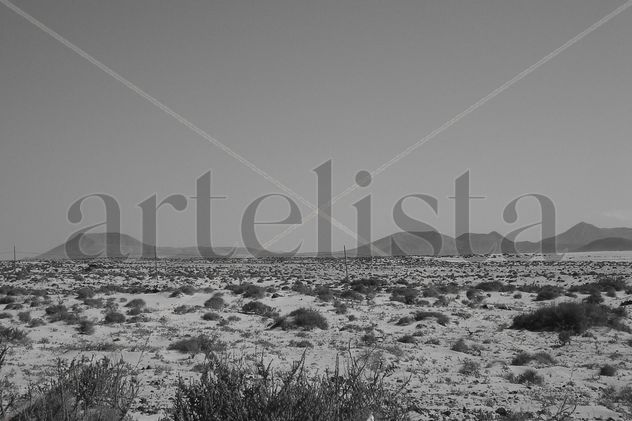 Fuerteventura VII