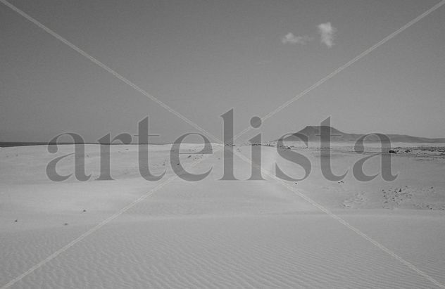 Fuerteventura VIII