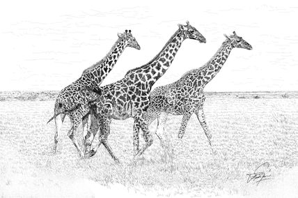"Girafas"