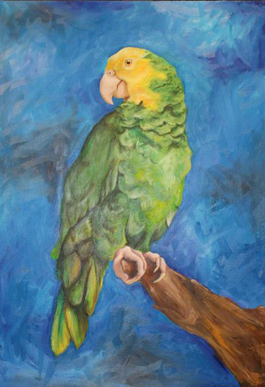 Azul Oil Canvas Animals