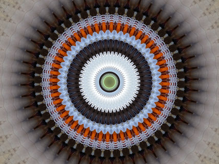 Mandala #08
