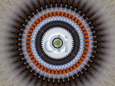 Mandala #08