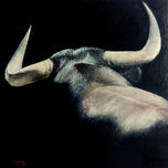 TOROS thumbnail 2