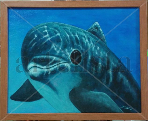 Dolphin 01 Acrylic Canvas Animals