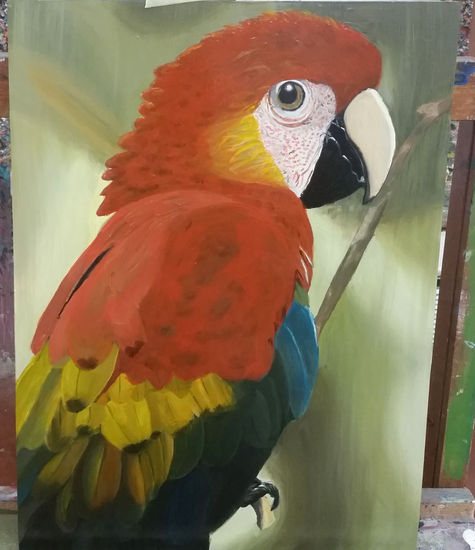 Guacamayo rojo Oil Panel Animals