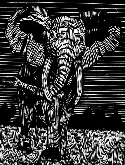 Elefante