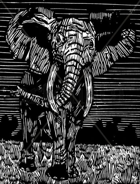 Elefante