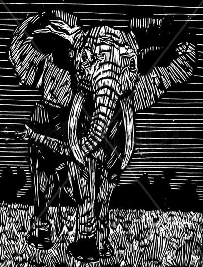 elefante Woodcut