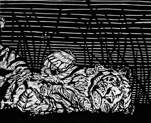 tigre Woodcut