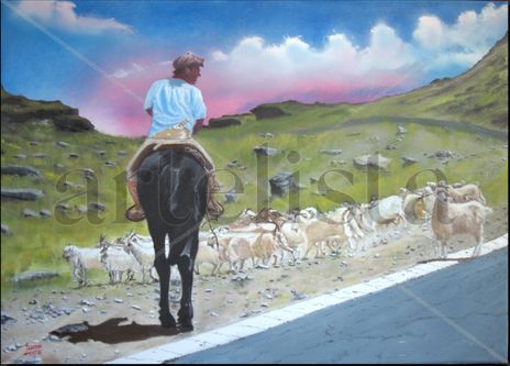 Patagonian Drover -...