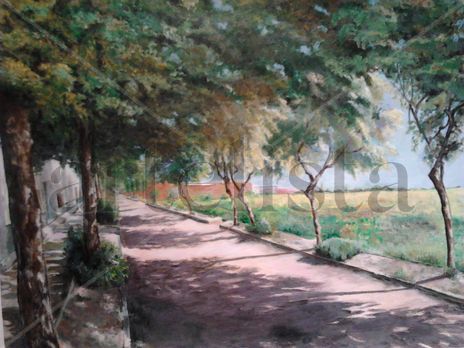 Paseo arbolado