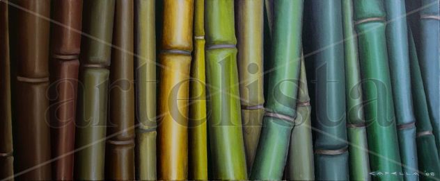 Cañas