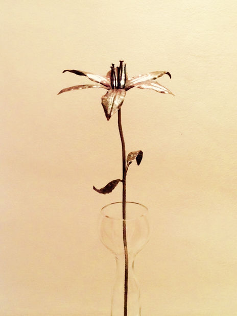 Lilium