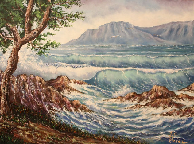 Marina con Acantilados y Pino