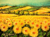 Campo de girasoles