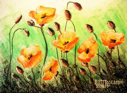 Amapolas amarillas