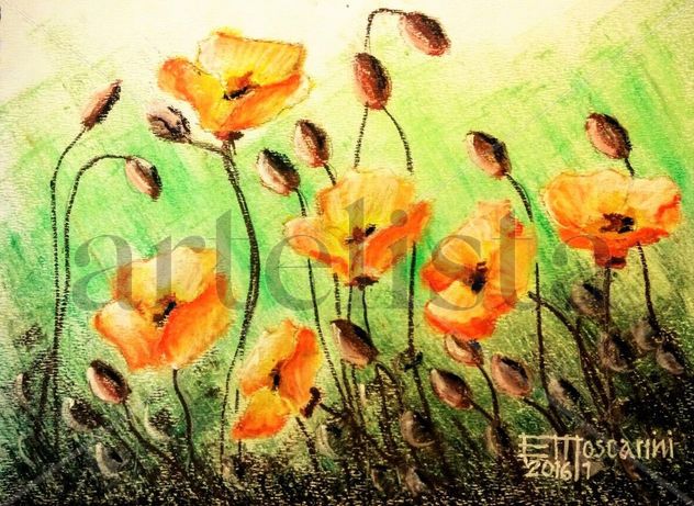 Amapolas amarillas
