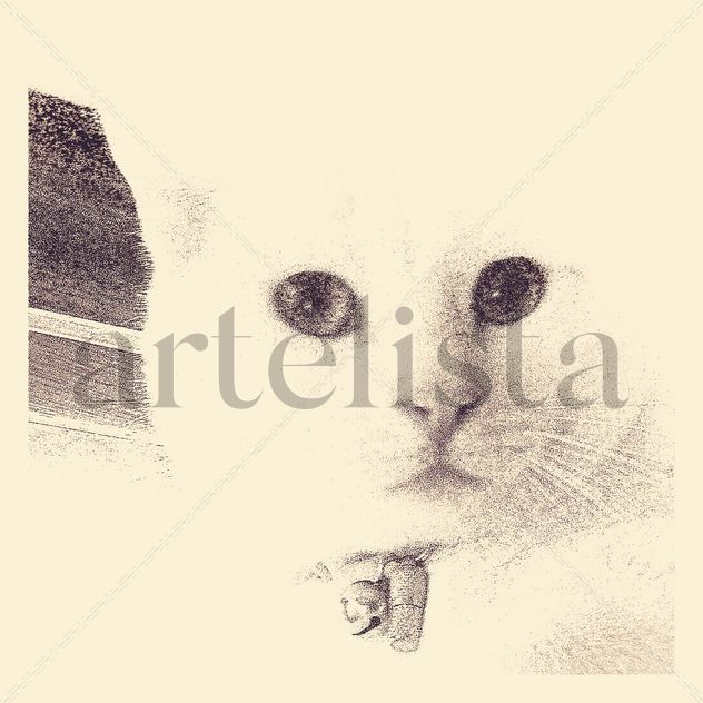 Gatito