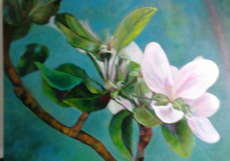 Flor del manzano