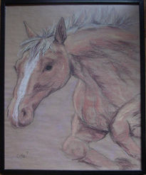 Caballo