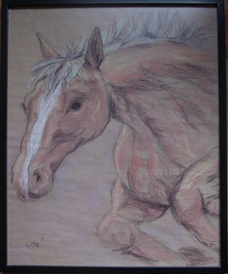 Caballo Pastel Paper