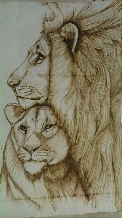 Proteccion