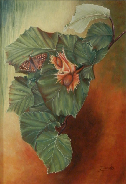 Mariposa y avellanas